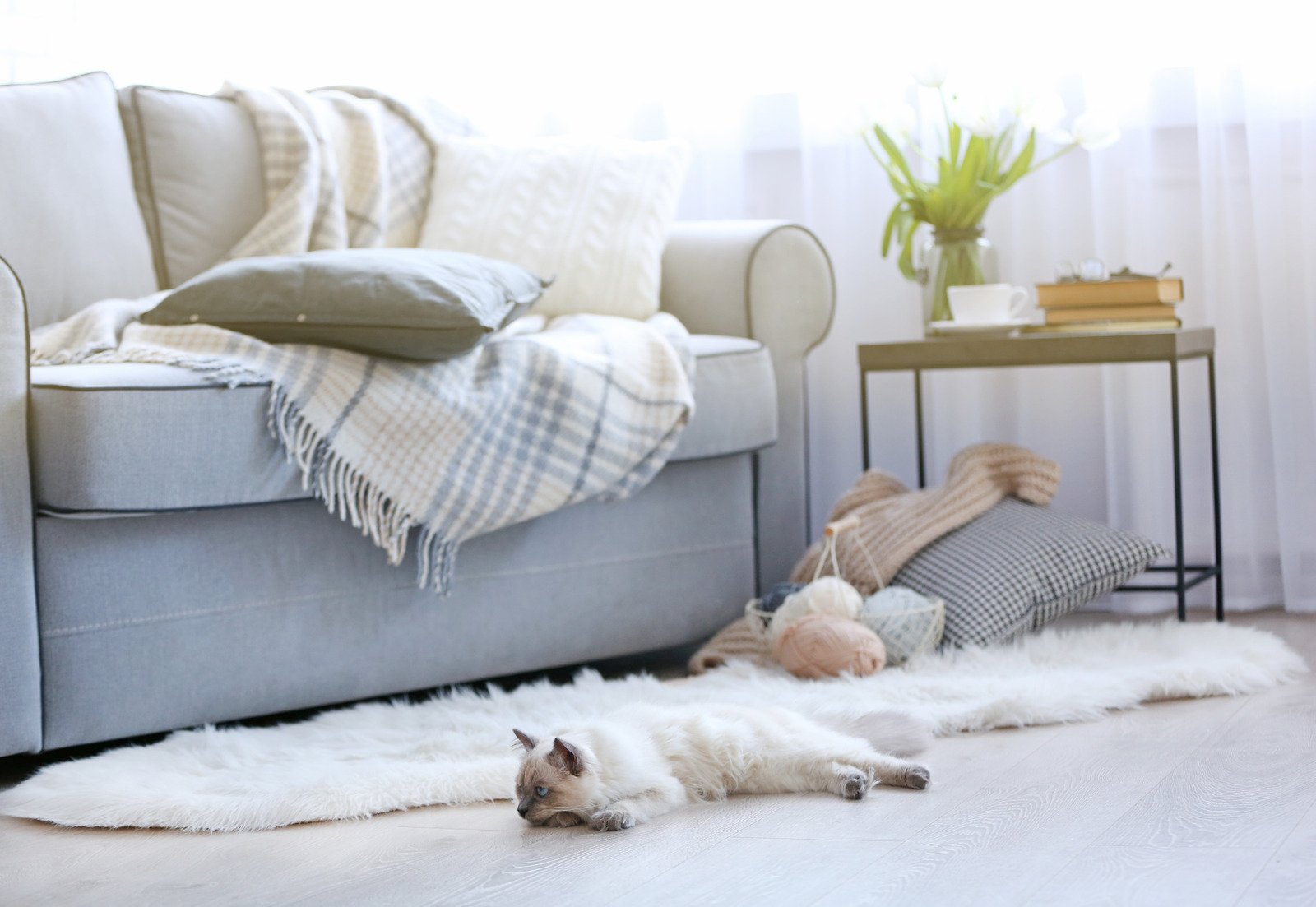 salon w jasnych kolorach, szara kanapa, dywan